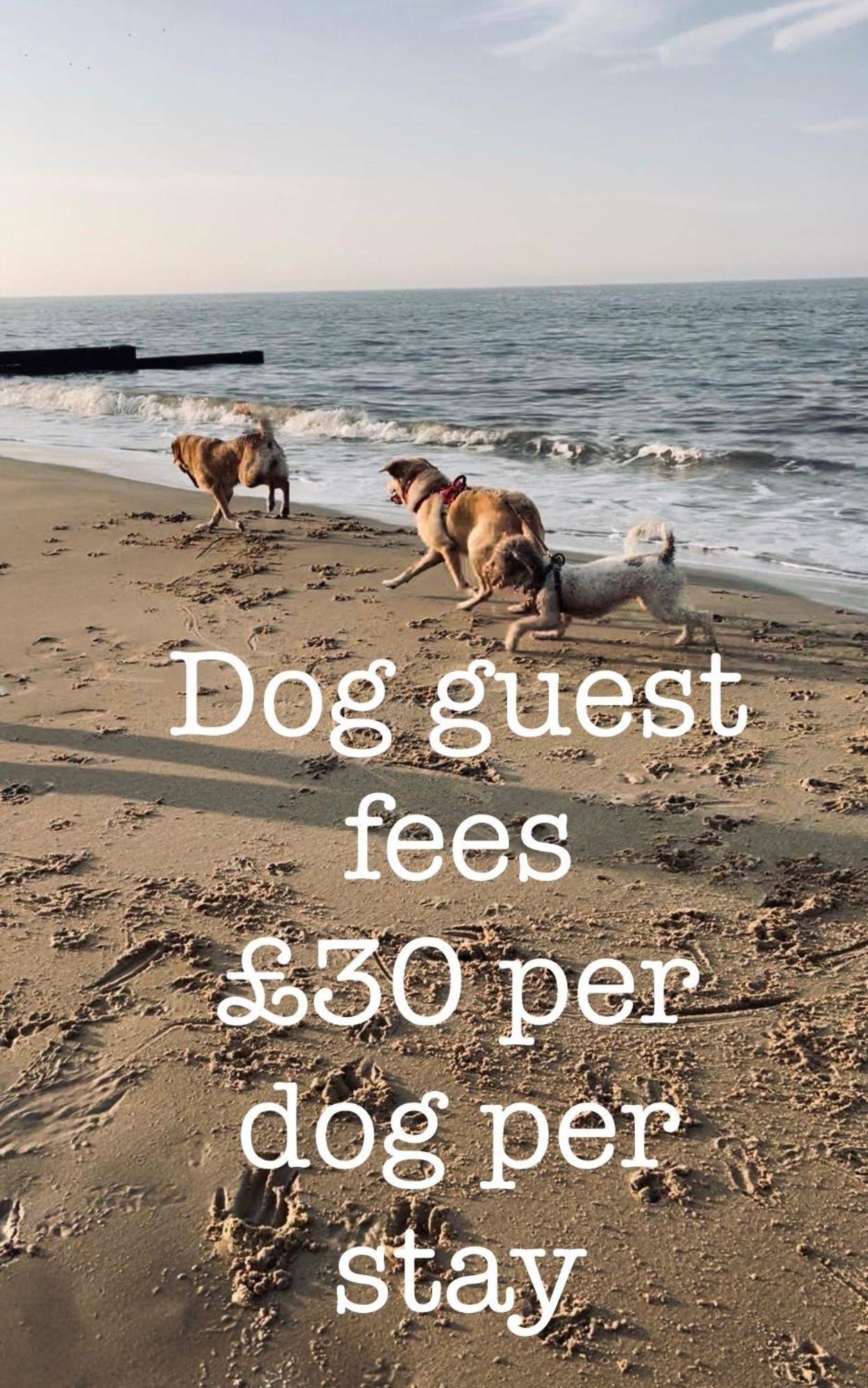 Coastal Terrace Dogs Welcome Optional Hot Tub Villa Sea Palling Buitenkant foto